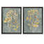 «Collection Florals I», ensemble de 2 reproductions d'art encadrées-578133048-578133047-578133053