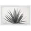 «Cactus Kinds Quadrupych» par Morgan Hartley - ensemble de 4 reproductions de photos sur papier encadrées-27800222