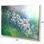 Mountain Plain with Little Flowers - Reproduction de photo sur toile tendue-19407243