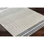 Feza Machine Washable Modern Boho Beige Area Rug-2123662400