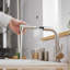 Robinet de cuisine rétractable GAweza-97277619