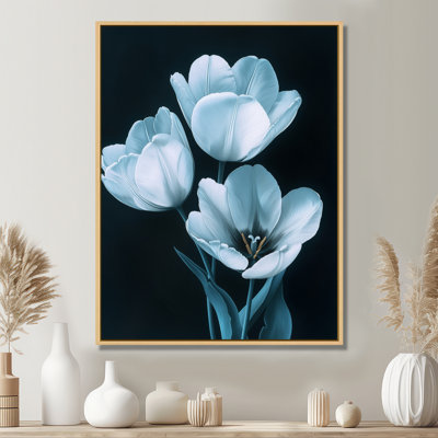 Tulipes bleues et blanches