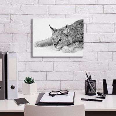 " Lynx 1 " by PhotoINC Studio