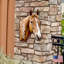 Support mural cheval