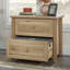Armoire de rangement pour bureau personnel