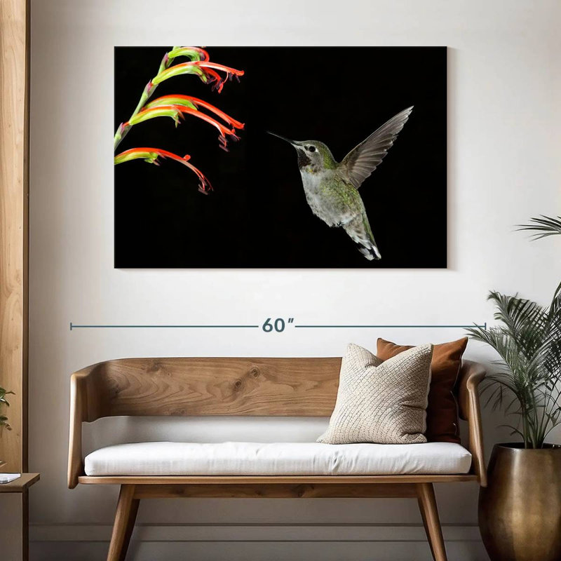 Hummingbird On Black, 32" H x 48" W