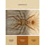 Tapis beige lavable à la machine Pavnesh Mid-Century Starburst Camel-1852605260