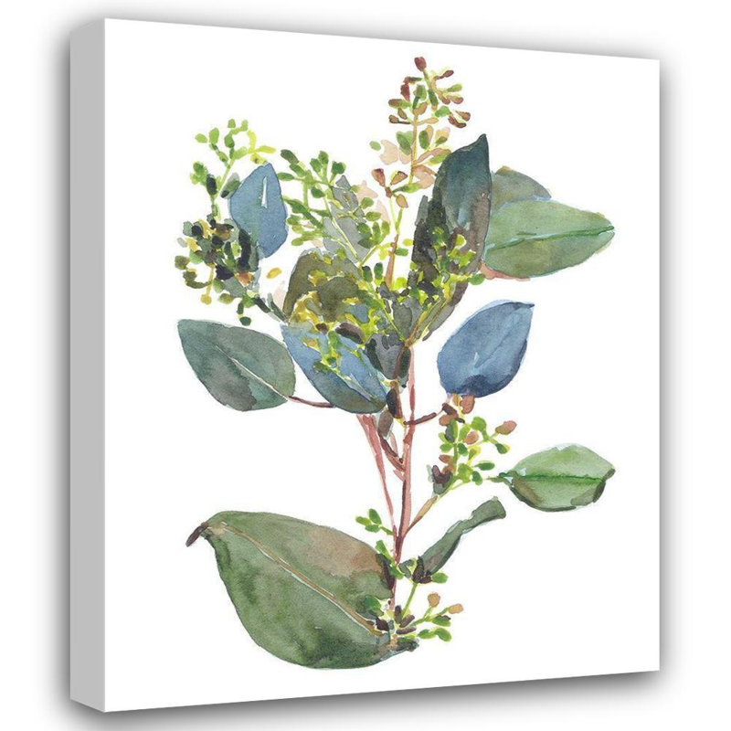 Red Barrel Studio Wang, Melissa Gallery Wrapped Canvas Art Titled: Seeded Eucalyptus I, 44" H x 36" W