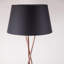 Casden 154cm Tripod Floor Lamp Set-289197293-289197288