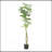 160CM ARTIFICIAL PACHIRA MACROCARPA-141623884