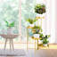 Support pour plante rond multiniveaux-35255792