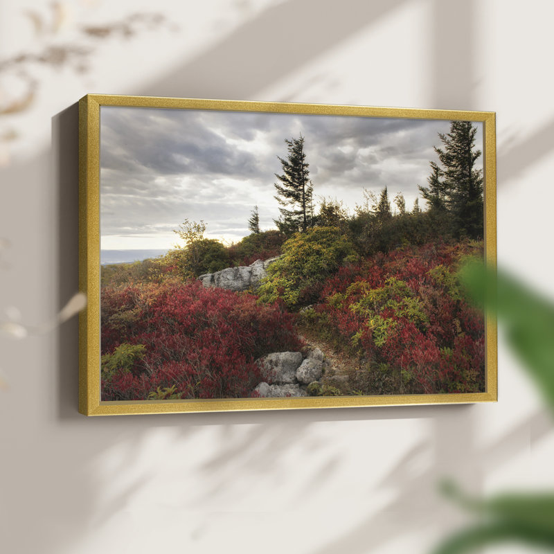 Highland Trail - reproduction encadrée - réversible, H 8 po x l 10 po, Or