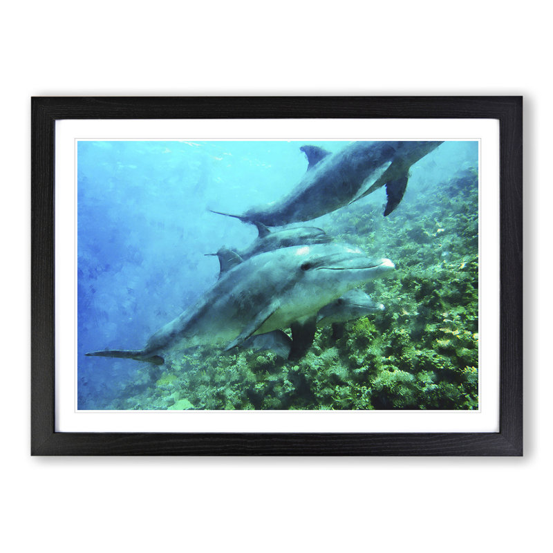 Dolphins - Picture Frame Painting, 36cm H x 48cm W x 2cm D, Black Framed