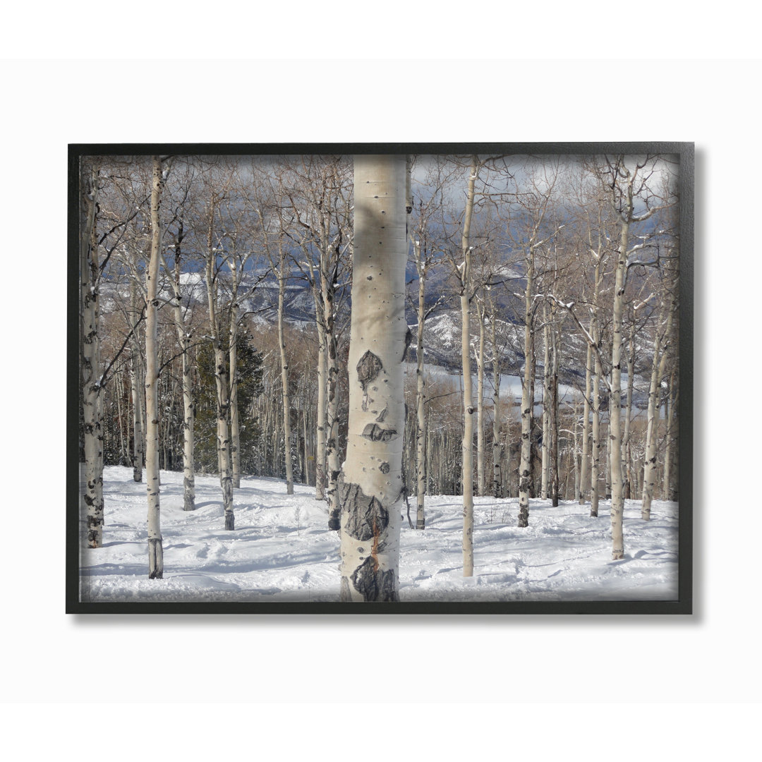 " Winter Birches " Union Rustic 