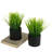 7.87'' Faux Grass in Cement Pot-259154101
