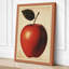Apple Study Botanical 1 Piece Wrapped Canvas Wall Art-1909232139-1909232142