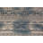 Transitional Oriental Area Rug 8x10