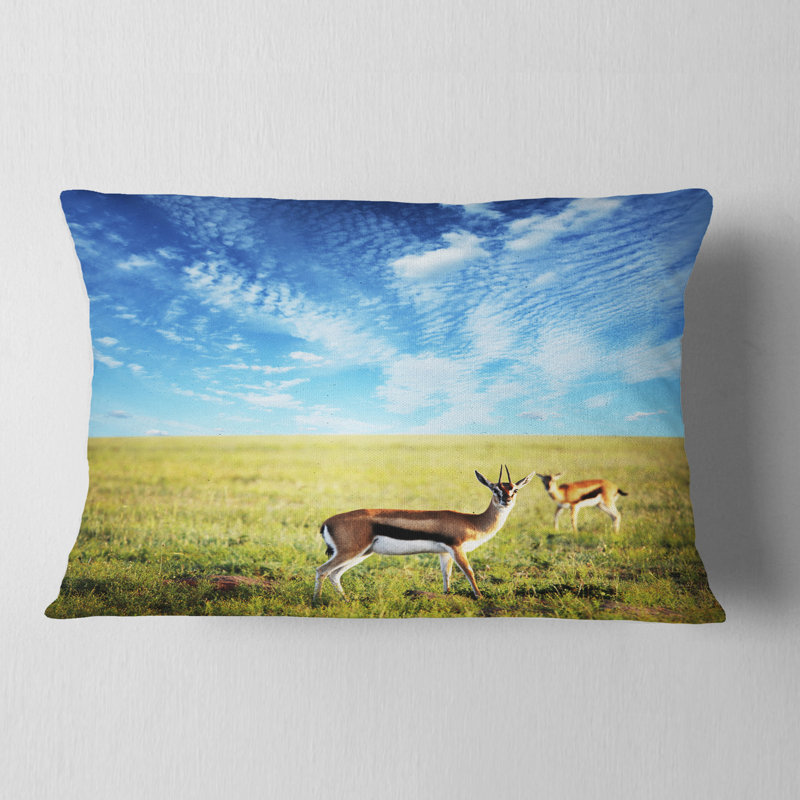 Coussin lombaire en antelopess africaines sous le ciel lumineux