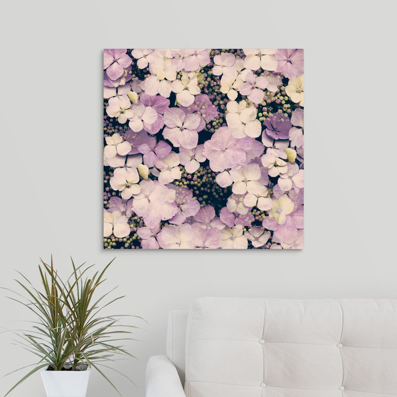 « hortensia rêves », reproduction de photo sur toile, H 24 po x l 24 po x P 1,5 po