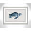 Alyiah «Atlantic Marine Museum Turtle II», reproduction d'art graphique encadrée sur papier en bleu / beige