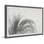 Coconut Tree Top View 1 Piece Single Picture Frame Wall Art-653122397