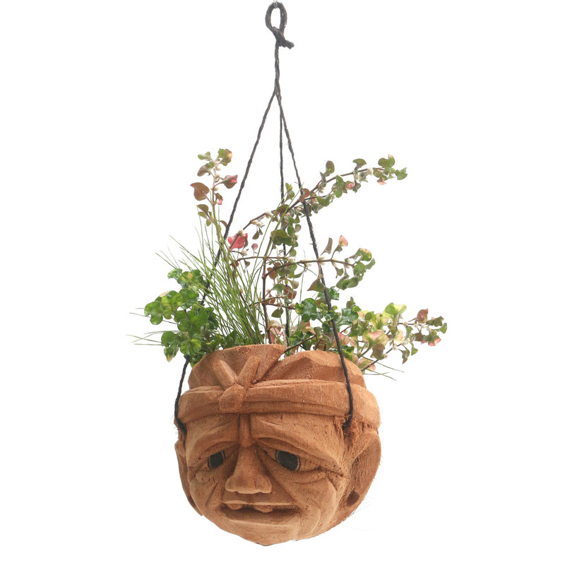 Pot à fleurs suspendu Emriye