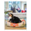 Tapis pour lit de qualité supérieure Rugs.com-100613958-110734651