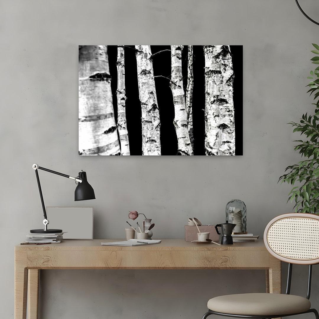 Birch Trees Abstract Contemporary Forest Landscape Wall Art Print