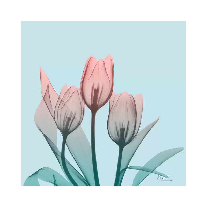 Awakening Tulips II by Albert Koetsier - Wrapped Canvas Print, 30.48 cm H x 30.48 cm W