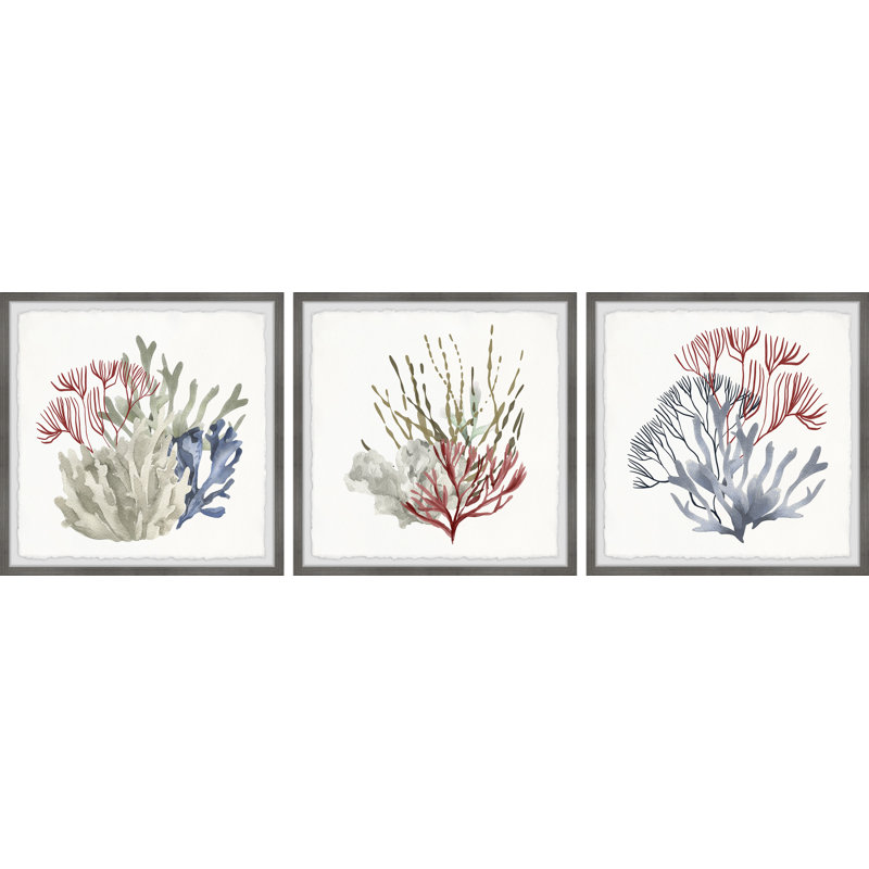 Marine Life Triptych