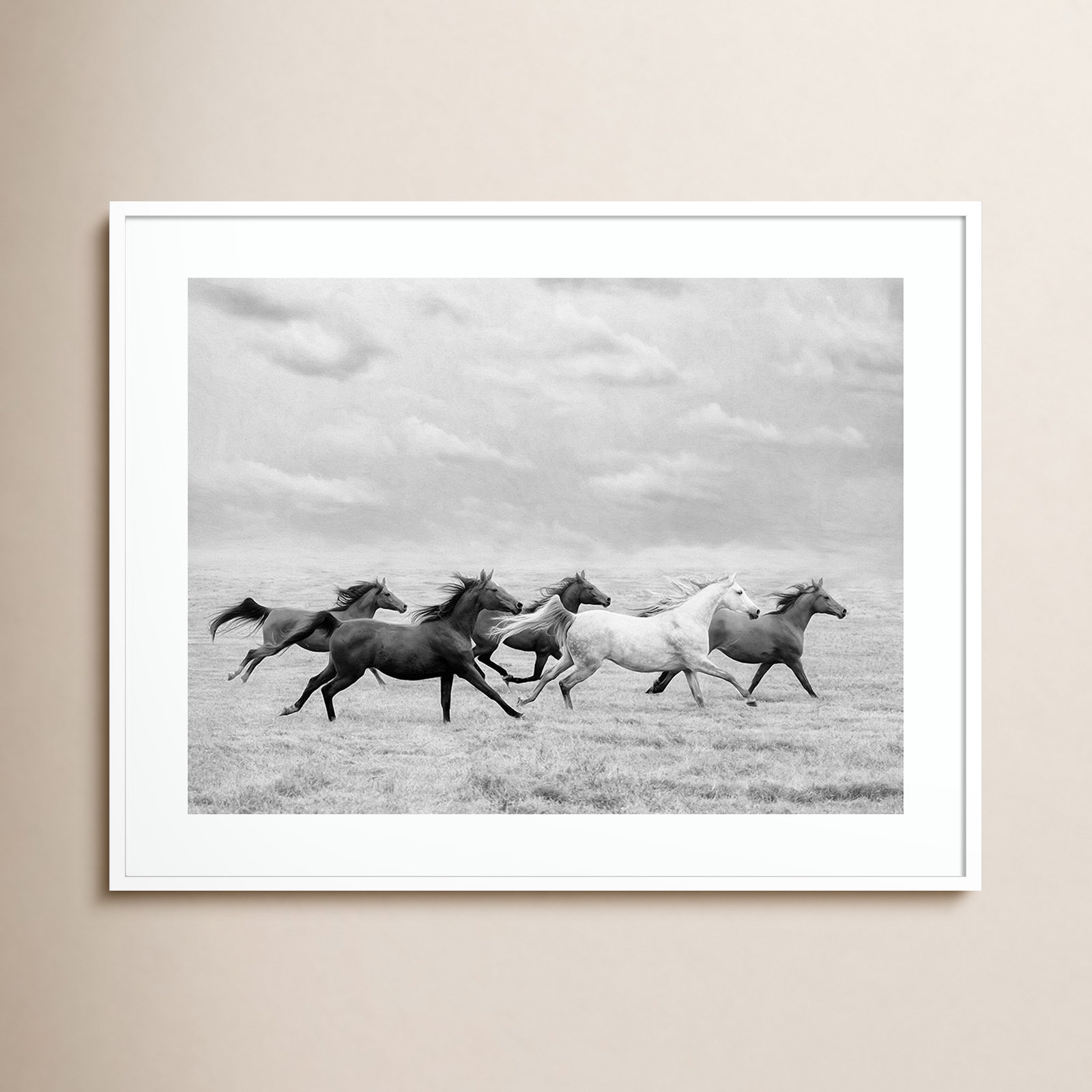 Horse Run I Photo Print by PHBurchett, White, 33" H x 41" W