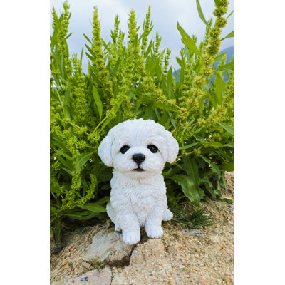 Statue chiot maltais