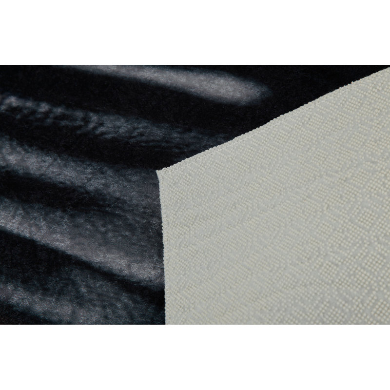 Tapis d'entrée de qualité supérieure, impression numérique 3D, 39,4 x 59,1 pouces | 100% polyester, antibactérien, antidérapant | Hauteur des poils: 0,04 po, lavable à la machine, idéale pour décorer le salon et le vestibule