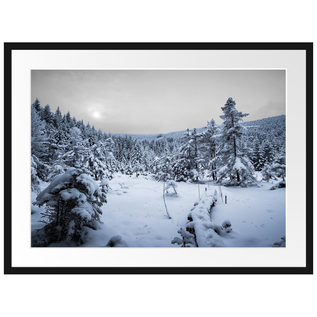 Gerahmtes Poster Wald im verschneiten Winter