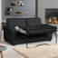 Alaziah 2 Seater Sofa Bed-395866989