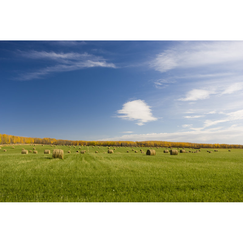 Bales Of Hay On A Farm by Pgiam - No Frame Art Prints on Canvas, 61cm H x 91cm W