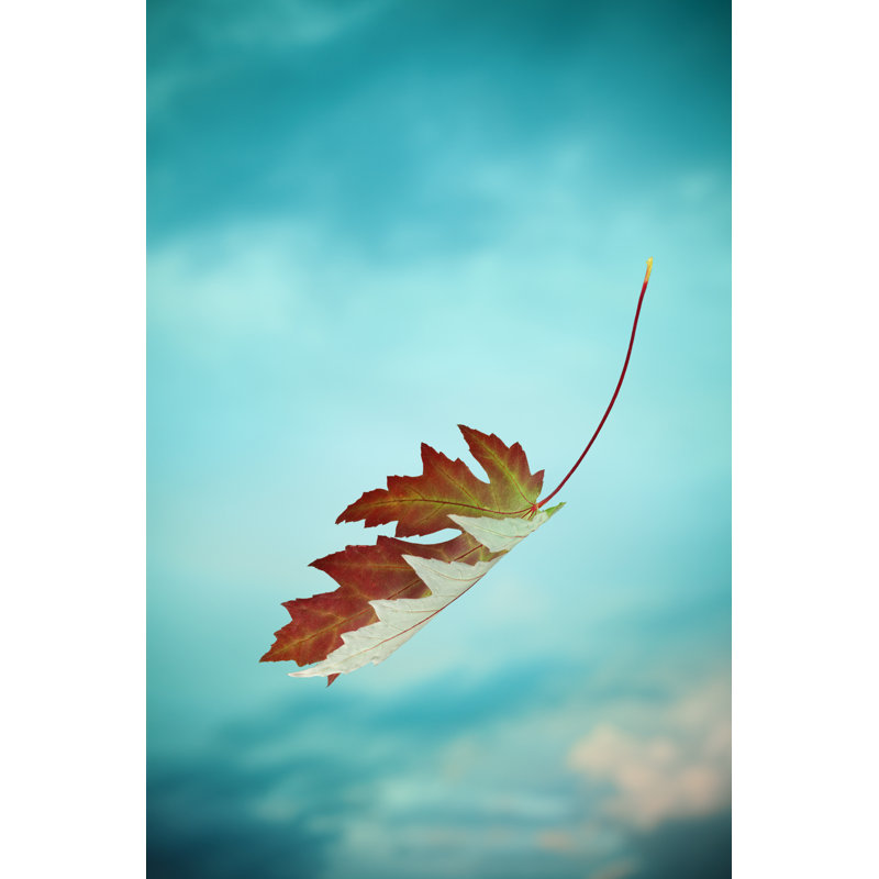 Faling Red Autumn Leaf - Wrapped Canvas Art Prints, 91cm H x 61cm W x 3.8cm D