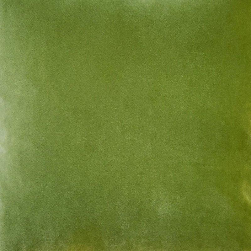 Summer Green Velvet Reversible Throw Pillow 17" x 17"