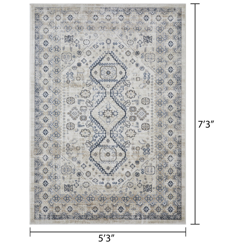 Aldolivio Oriental Indoor Rug, Rectangle 5'3" x 7'3"