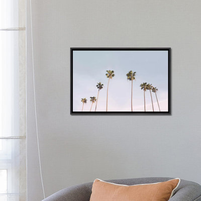Photographie « california trees »