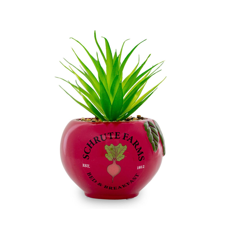 7.5'' Faux Succulent Plant in Ceramic Planter
