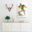 Red-Breasted Parakeet by George Shaw - Wrapped Canvas-55329869