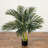 3ft. Artificial Golden Cane Palm Tree