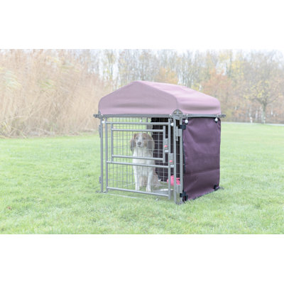 Pare-soleil pour chien Trixie