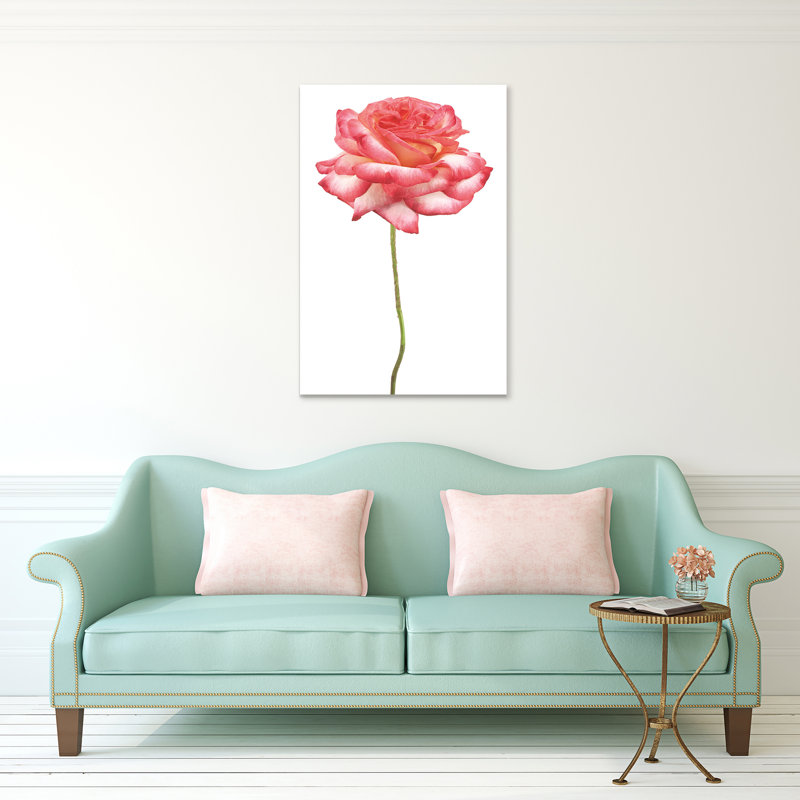 « rose sur blanc », impression sur verre Rose