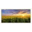 «Sunset Rape Fields» - photographie sur toile-2129146994-2129146996