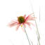 RUDBEKDARIUM 120 cm H Faux Onion Grass Plant in Plastic Pot
