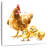 Brampt Hen And Chicks-109372628