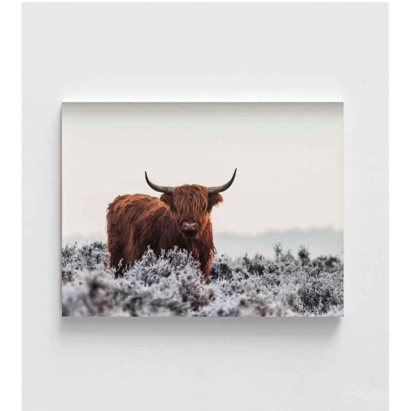 Art mural surdimensionné rustique vache Highland, reproductions de photo de vache à la ferme, H 30 po x l 40 po