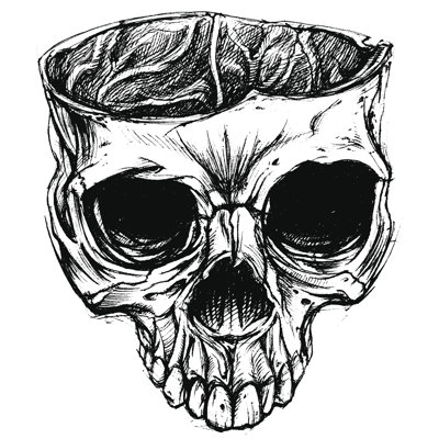 " Skull Drawing "